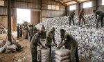 High grade lithium ore from Nigeria