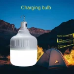 Super Bright LED Globe Bulb Outdoor Camping Emergency Charging Light Remote Control DC Power Factory Price Residential