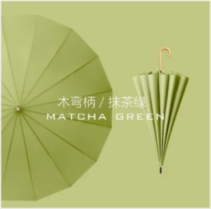 21 Colors Umbrella