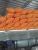 Import POTATOES from Egypt