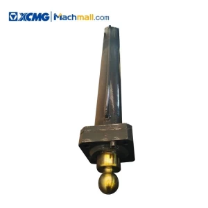 XCMG crane spare parts fifth leg cylinder * 803002719