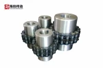 GL type roller chain coupling