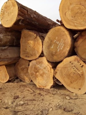 Ekop Naga Wood Logs