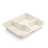 Bagasse 3 Compartment Tray