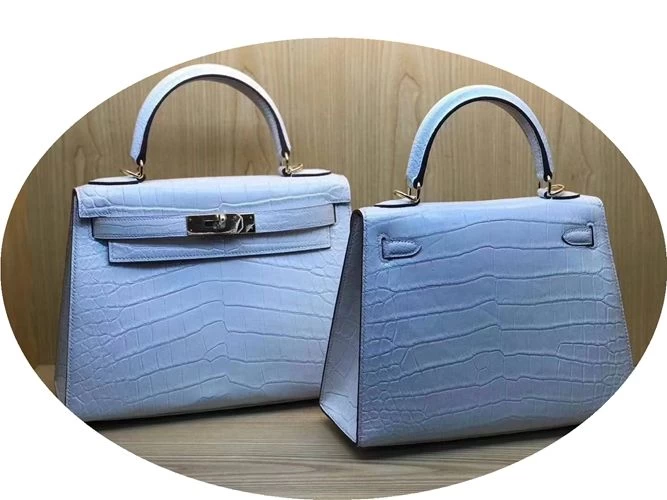 Princess Handbag in Himalayan Shiny Croc main image 1
