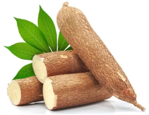 Nigerian Cassava