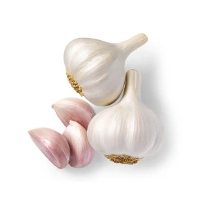 High Quality New Crop Fresh Garlic Original Supplier Wholesale Price Normal White Garlic