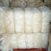 Carefully Processed Sisal Fiber For Rope Crafting Agricultural Applications And Durable Surface Material
