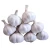 Import High Quality New Crop Fresh Garlic Original Supplier Wholesale Price Normal White Garlic from United Kingdom