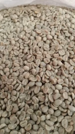 Green beans coffee