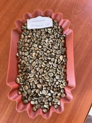 Raw Robusta coffee bean