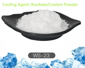 99% Cooling Agent Ws-23 Powder with Best Price