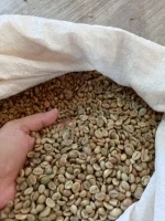 Robusta, Coffee