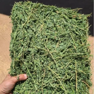 Quality Alfalfa Hay, Timothy Hay, Bermuda Hay in Excellent Price