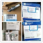 Spark Plug