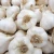 Import High Quality New Crop Fresh Garlic Original Supplier Wholesale Price Normal White Garlic from United Kingdom