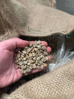 India Arabica Plantation (Parchment) - AA (Washed)