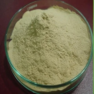 Hydrolysed Groundnut Protein