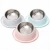 Import stainless steel bowl for cats and dogs tilted pet bowl Oblique mouth 15°healthy diet non-slip cat food bowl from China