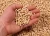 Import wood pellets from Hungary