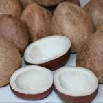 Copra white edible