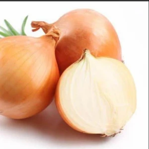 Fresh Onions Fast Shipping High Quality