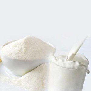 Skimmed Milk Protein Fat 20 %