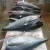 Import frozen seafood fresh whole round wahoo fish for sale from South Africa