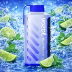 VOZOL Gear Power 20000 Blue Mojito
