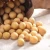 Import Soybean from China