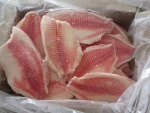 frozen tilapia fillet