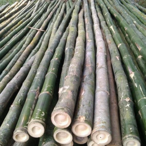 BAMBOO LONG ROUND POLES