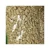 Import high quality dry white corn for human consumption and animal use ready for export (NON-GMO) from Germany