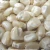 Import high quality dry white corn for human consumption and animal use ready for export (NON-GMO) from Germany
