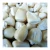 Import high quality dry white corn for human consumption and animal use ready for export (NON-GMO) from Germany