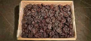 Pitted Prune Wholesale