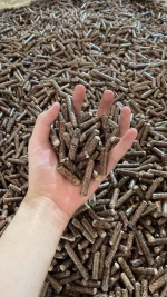 Wood pellet