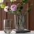 Import Striped Glass Vase from China