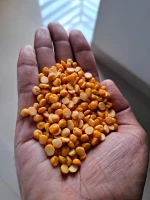 Split Bengal Gram (Chana Dal)