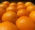 Import Mandarin orange from Pakistan