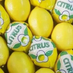Premium Quality Fresh LEMON Fast Shipping high Quality Lemon from Turkey