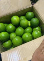 Fresh Seedless Lime