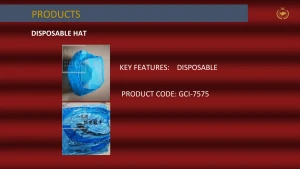 Disposable Hat