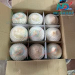 Vietnamese Fresh Young Coconut
