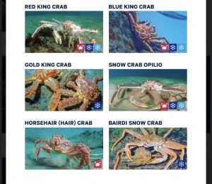 King Crab