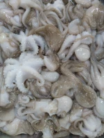 Octopus whole cleaned