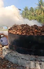 Coconut Shell Charcoal