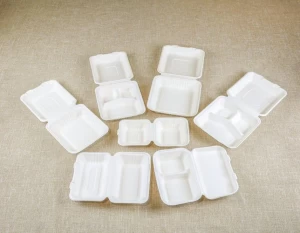 100% Biodegradable Compostable Sugarcane Bagasse Disposable Fast Food Box Lunch Box
