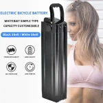 18650 Silver Fish E-Bike Battery Lithium Ion 36volt 13ah 15ah 30ah 48v 11ah 24ah Folding Electric Bicycle Ebike Battery