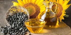 High Quality Sunflower Oil, Pure Edible Oil in Best Price